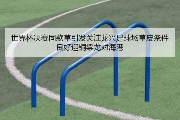 世界杯决赛同款草引发关注龙兴足球场草皮条件良好迎铜梁龙对海港